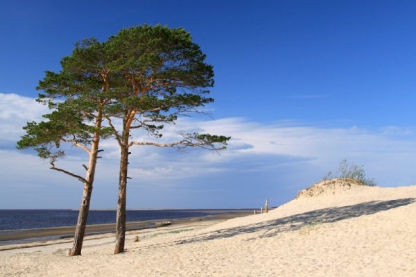 Белое море Северодвинск Ягры