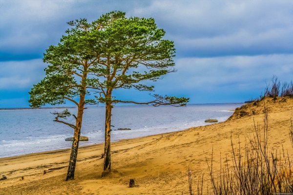 Остров Ягры белое море