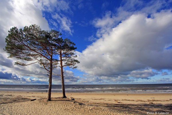 Белое море Северодвинск Ягры