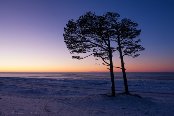 Сосновый Бор Ягры Северодвинск