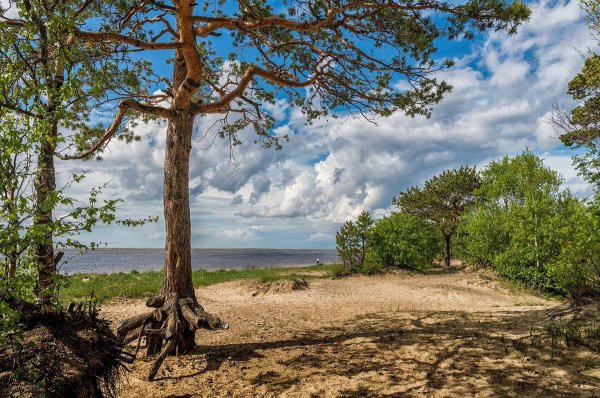 Остров Ягры Северодвинск