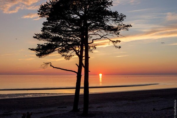 Остров Ягры Северодвинск