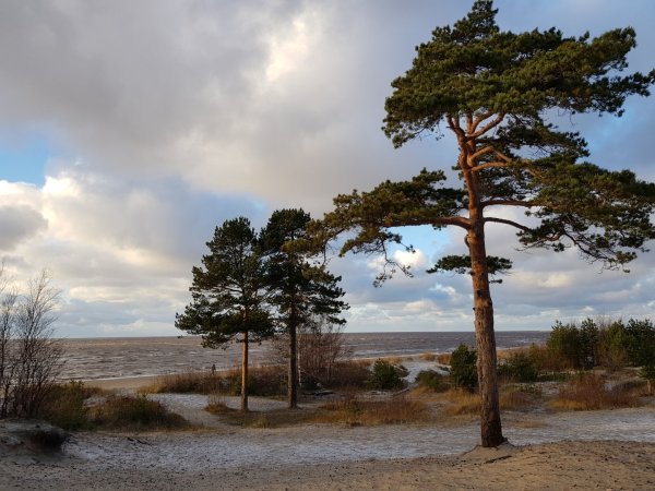 Северодвинск Ягры Сосновый пляж