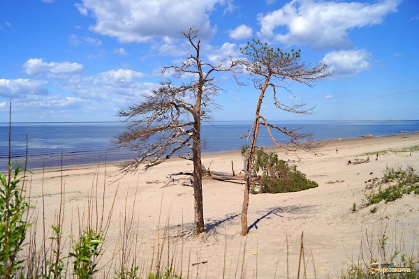 Остров Ягры Северодвинск