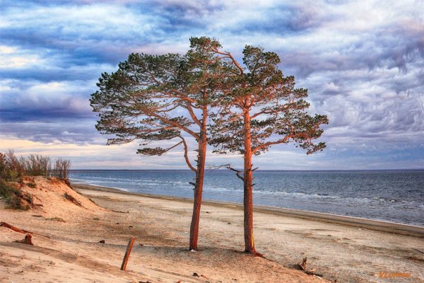 Остров Ягры Северодвинск