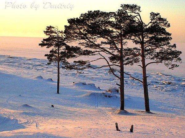 Остров Ягры Северодвинск
