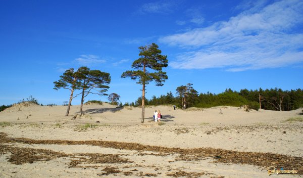 Северодвинск набережная белого моря