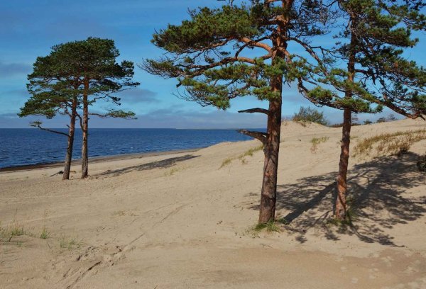 Северодвинск Ягры море