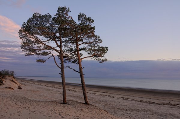 Остров Ягры Архангельск