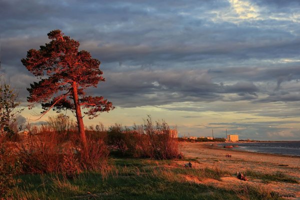 Белое море Северодвинск Ягры