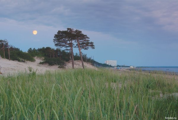 Белое море Северодвинск Ягры