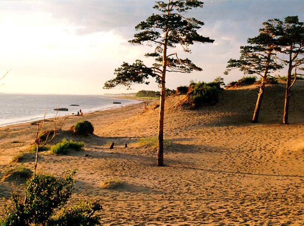 Северодвинск белое море Северное сияние