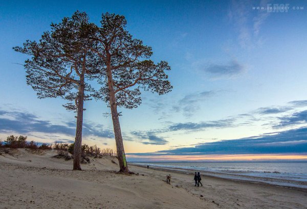 Остров Ягры Северодвинск белое море