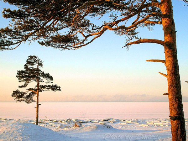 Остров Ягры Северодвинск