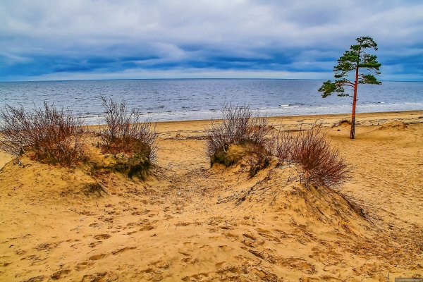 Закат Ягры Северодвинск