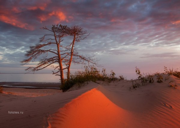Северодвинск набережная белого моря