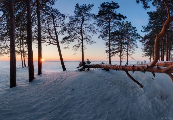 Северодвинск Ягры дюны