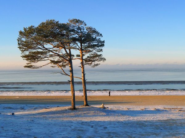 Сосновый Бор Ягры Северодвинск