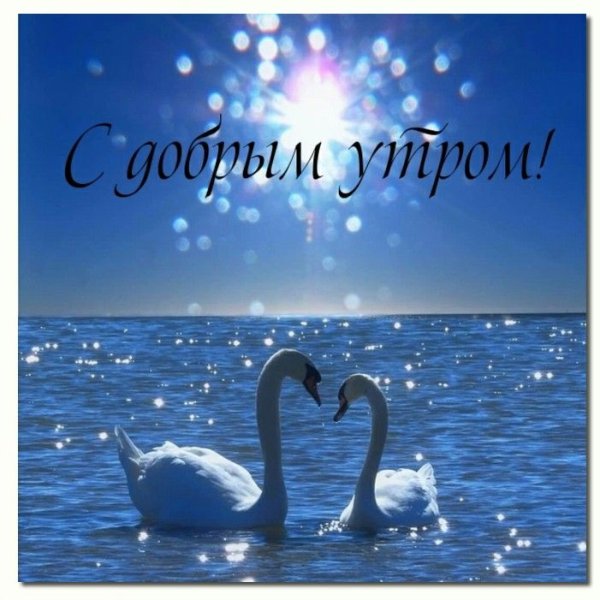 Утро море пляж