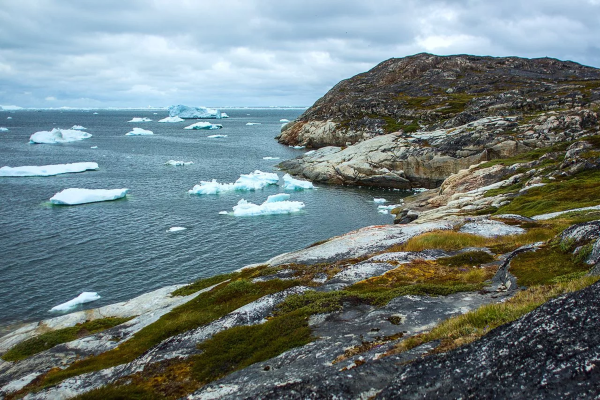 Гренландское море