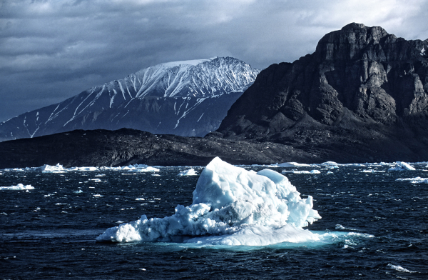 Северное Гренландское море