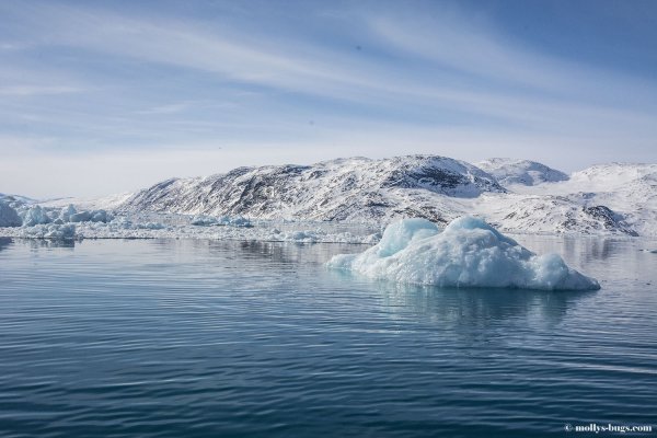Гренландское море