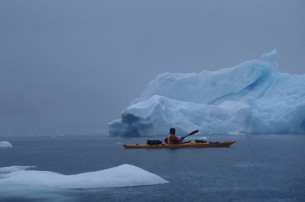 Северный Ледовитый океан Гренландское море