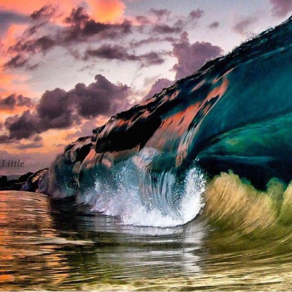 Удивительное море