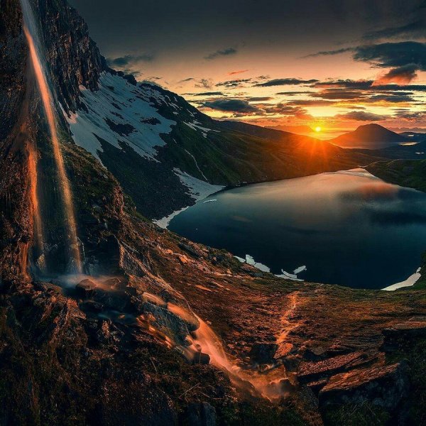 Марк Адамус звезды дерево