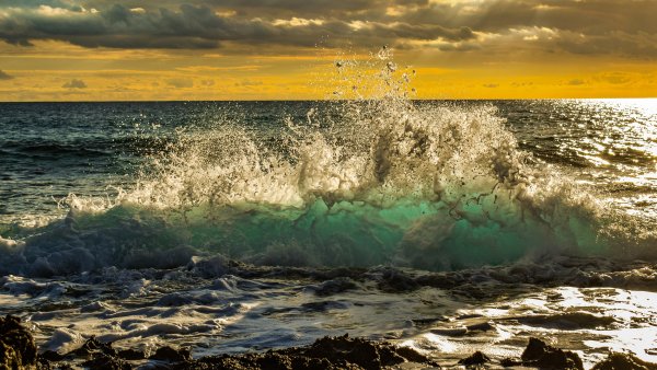 Девочка и море