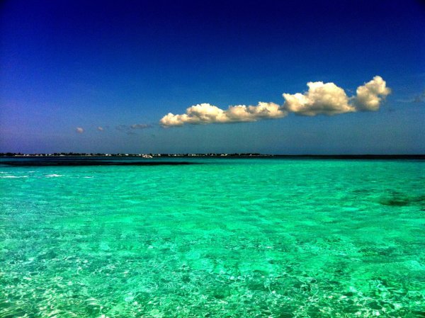 Море зеленого цвета