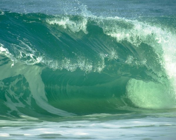 Море зеленого цвета