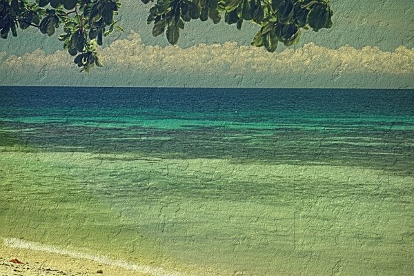 Зеленое побережье