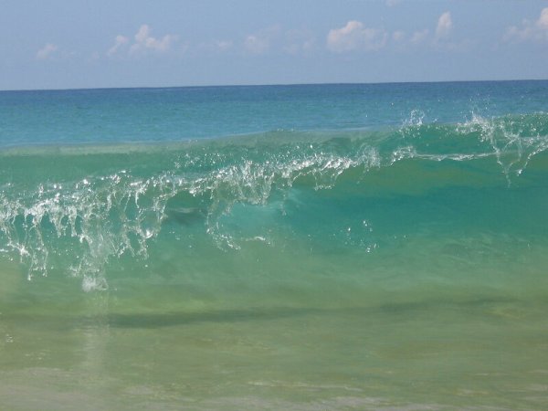 Море с зеленым оттенком