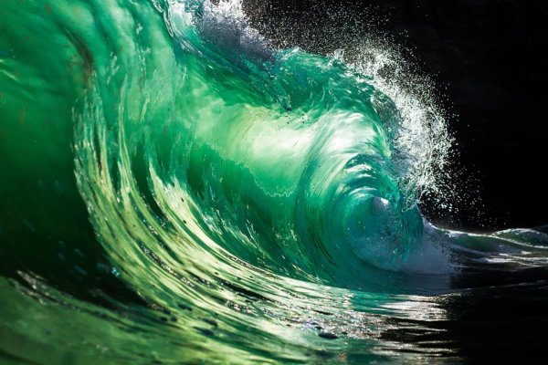 Зеленая волна