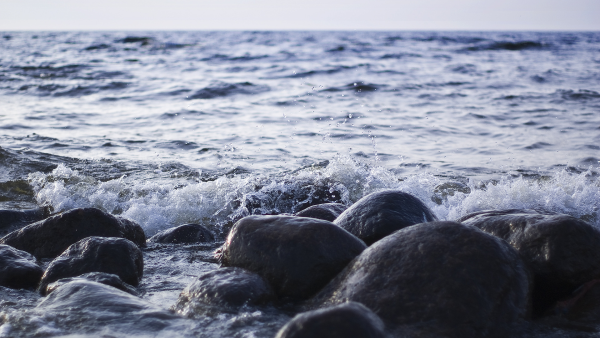 Финский залив море