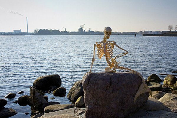 Сесть в лужу фразеологизм