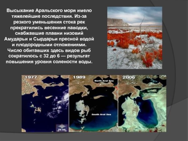 Катастрофа с Аральским морем кратко