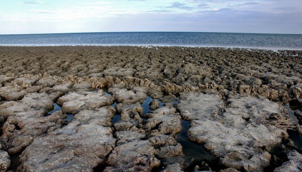 Аральское море сейчас 2021