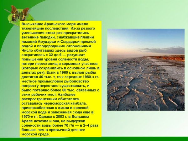 Аральское море пересохло