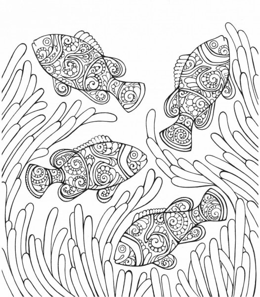 Раскраска антистресс подводный мир