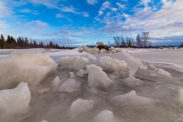 Белое море Мурманская область