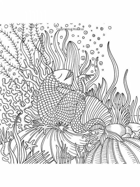 Раскраска морские обитатели сложные