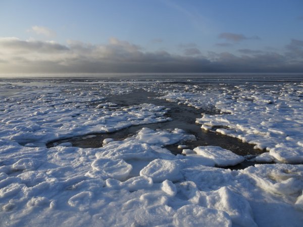 Белое море зимой фото