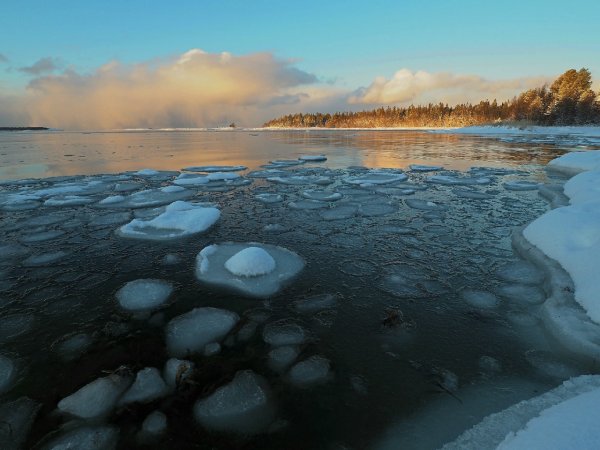 Зимний берег белого моря