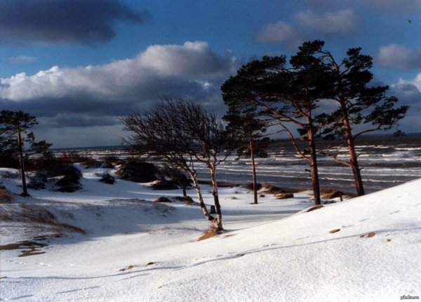 Зимний берег белого моря