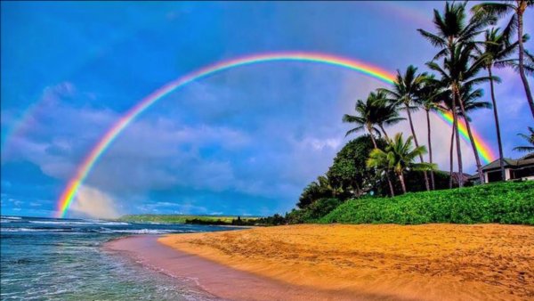 Цвета радуги