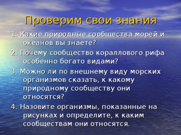Сообщество моря океана