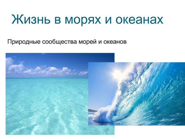 Природные сообщества