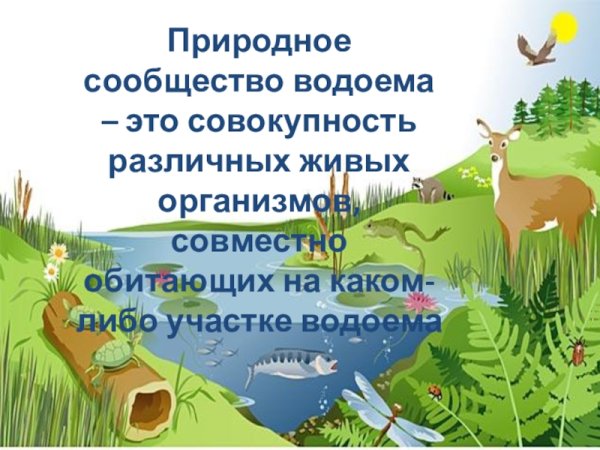 Обитатели озера